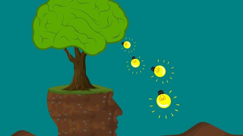 Does Harris Teeter Take EBT? A Guide to Using Your SNAP Benefits